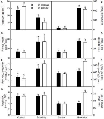Effects of High Toxic Boron Concentration on Protein Profiles in Roots of Two Citrus Species Differing in Boron-Tolerance Revealed by a 2-DE Based MS Approach